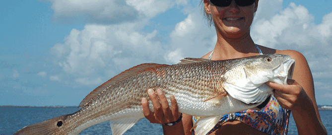 Fishing Incognito | Gottafly Guide Service | Captain Lee Parsons | Topsail.Fish | Topsail Island Fishing Captains | Topsail Island Fishing Charters | Topsail Island Fishing Guides