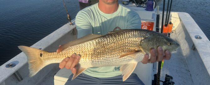 Photo courtesy of Topsail Island Fishing Guides | Captain Mike Hoffman | Male angler on a boat holding a large red drum fish.