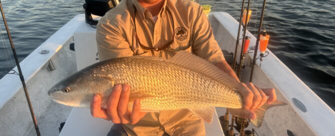 Topsail Island Fishing Guides | Captain Mike Hoffman | Topsail.Fish | Topsail Island Fishing Captains | Topsail Island Fishing Charters