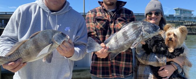Topsail Island Fishing Guides | Captain Mike Hoffman | Topsail.Fish | Topsail Island Fishing Captains | Topsail Island Fishing Charters