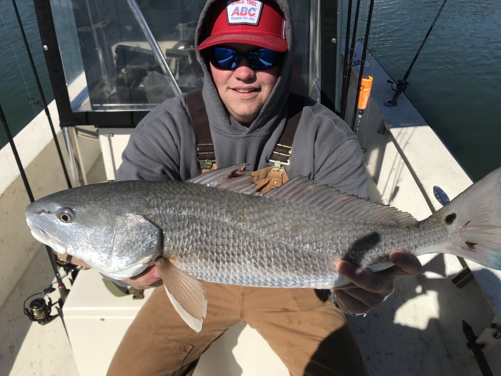 Angler on a Topsail Beach fishing charter catching a Speckled Trout on an oyster bar