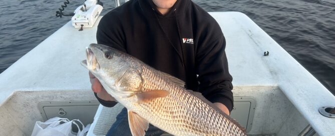 Topsail Island Fishing Guides | Captain Mike Hoffman | Topsail.Fish | Topsail Island Fishing Captains | Topsail Island Fishing Charters