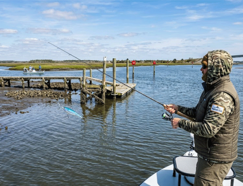 Topsail Island March Fishing: The Early Spring Transition