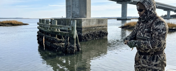 Angler free-lining a live shrimp near deep bridge pilings during Topsail Island February Red Drum Fishing