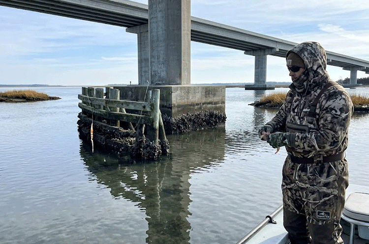 Angler free-lining a live shrimp near deep bridge pilings during Topsail Island February Red Drum Fishing