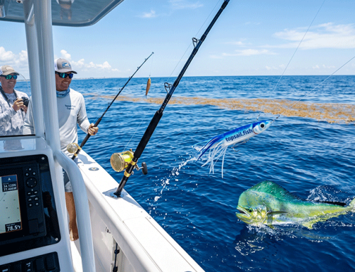 The Ultimate Guide to Topsail Island Mahi Fishing