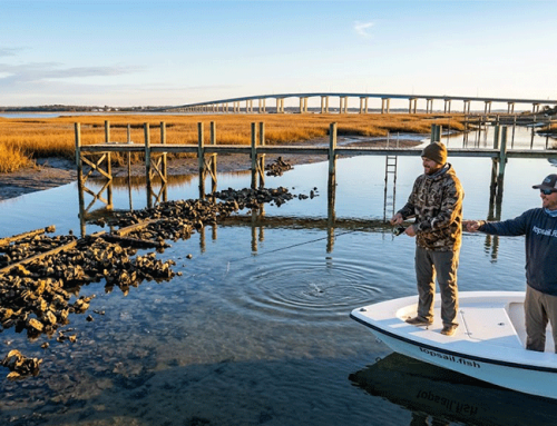 Topsail Island Speckled Trout Fishing: Late Fall Tactics
