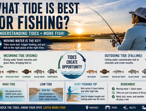 What Tide Is Best for Fishing? Understanding Tides Around Topsail Island