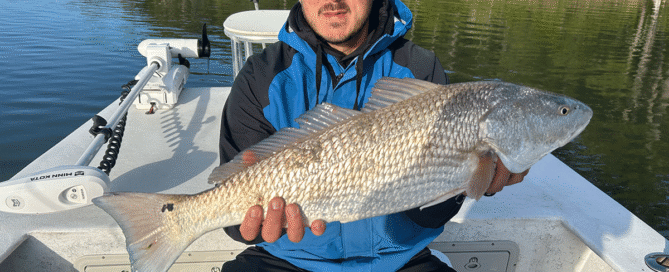 Angler holding a large red drum on a charter boat in Topsail Sound - Captain Mike Hoffman May 4 2026