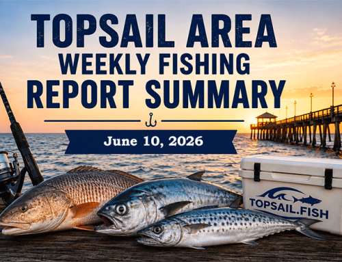Topsail Area Weekly Fishing Report Summary | June 10, 2026
