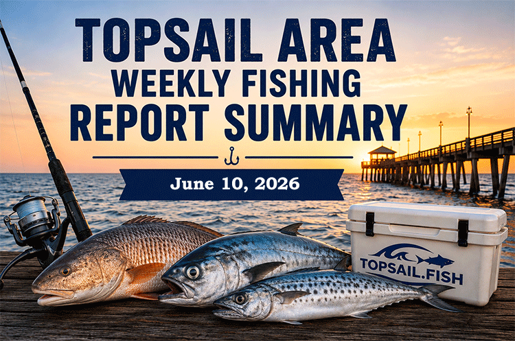 Topsail Area Weekly Fishing Report Summary for June 10, 2026 featuring red drum, Spanish mackerel, bluefish, and Topsail Island pier fishing conditions.