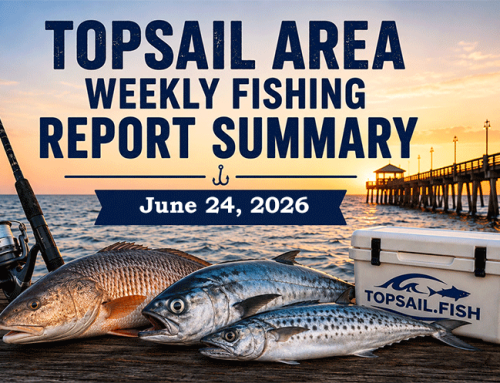 Topsail Area Weekly Fishing Report Summary | June 24, 2026