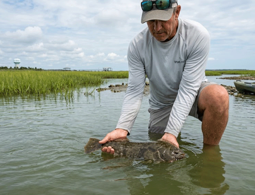 Topsail Island Flounder Fishing: August Regulations & Release Guide