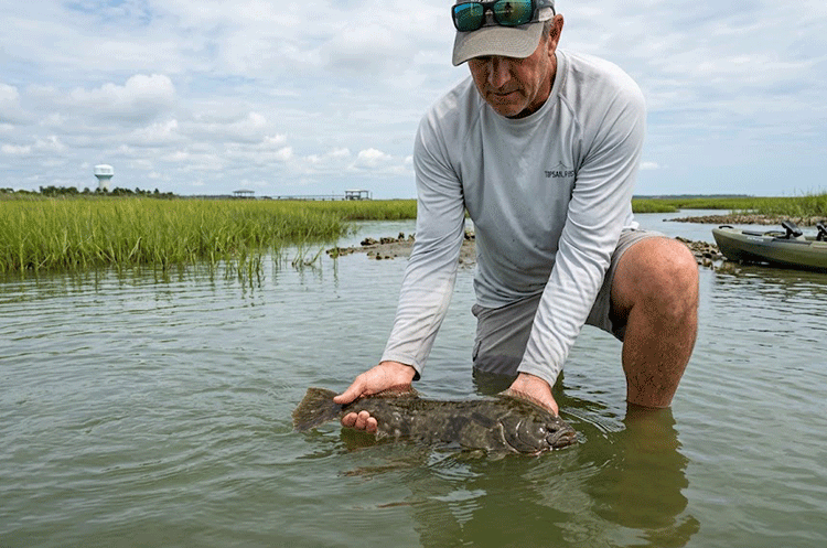 An angler carefully practicing catch and release for a flounder in the marshes, reflecting the topsail island flounder fishing august regulations.