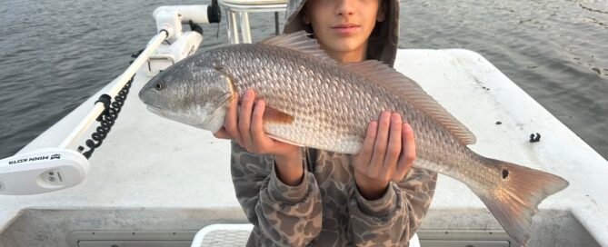 June 1 Topsail Fishing Report Young angler holding a red drum as his prize catch.