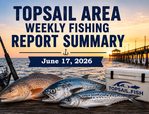 Topsail Area Weekly Fishing Report Summary | June 17, 2026