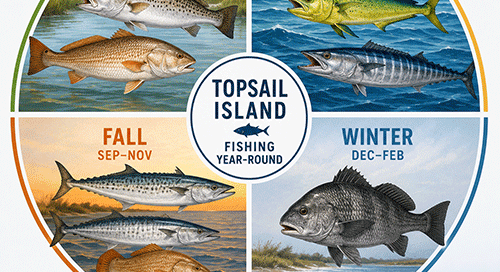 Seasonal fishing calendar showing spring, summer, fall, and winter fishing opportunities around Topsail Island, North Carolina.