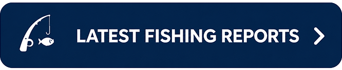 Latest Fishing Reports