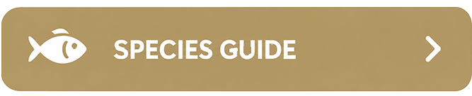 Species Guide
