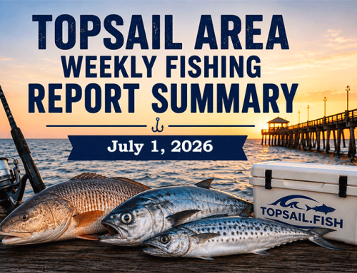Topsail Area Weekly Fishing Report Summary | July 1, 2026