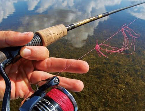 How to Avoid Wind Knots: Master Technical Casting and Gear Setup