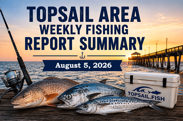 Topsail Area Weekly Fishing Report Summary for August 5, 2026 featuring red drum, speckled trout, Spanish mackerel, and current fishing conditions around Topsail Island, North Carolina.