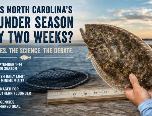 Why Is North Carolina’s Flounder Season Only Two Weeks? Understanding the Rules, the Science, and the Debate