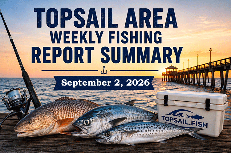 Featured image for the Topsail Area Weekly Fishing Report Summary for August 26, 2026 highlighting early fall fishing conditions around Topsail Island, including red drum, flounder, speckled trout, Spanish mackerel, bluefish, surf, pier, inshore, nearshore, and offshore fishing opportunities.