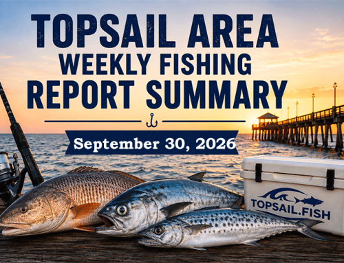 Topsail Area Weekly Fishing Report Summary | September 30, 2026