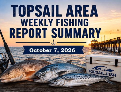 Topsail Area Weekly Fishing Report Summary | October 7, 2026