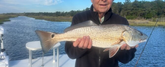 Angler holding a red drum caught while fishing the inshore waters near Topsail Island, North Carolina